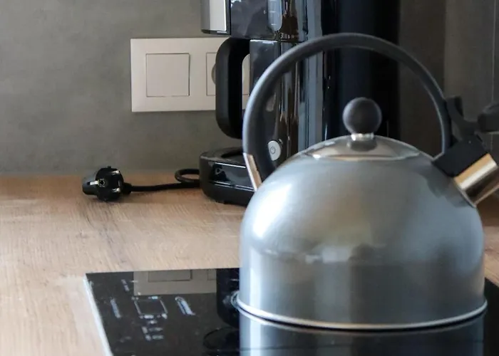 Ostoja Kaszebe 度假居 *